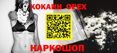 спайс Кингисепп