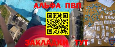 спайс Кингисепп