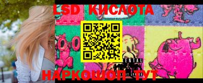 спайс Кингисепп