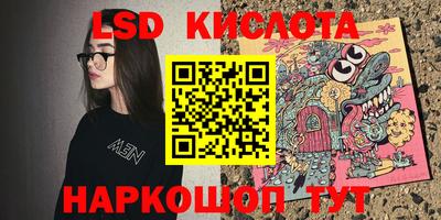 стаф Кинель