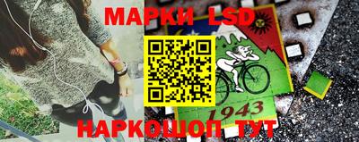 спайс Кингисепп