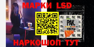 стаф Кинель