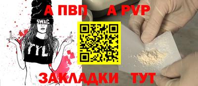 стаф Кинель