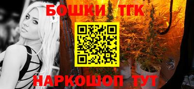 спайс Кингисепп