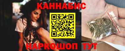 спайс Кингисепп