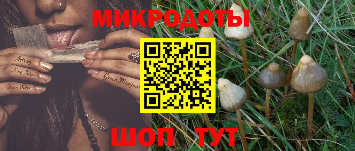 Псилоцибиновые грибы GOLDEN TEACHER Лабинск